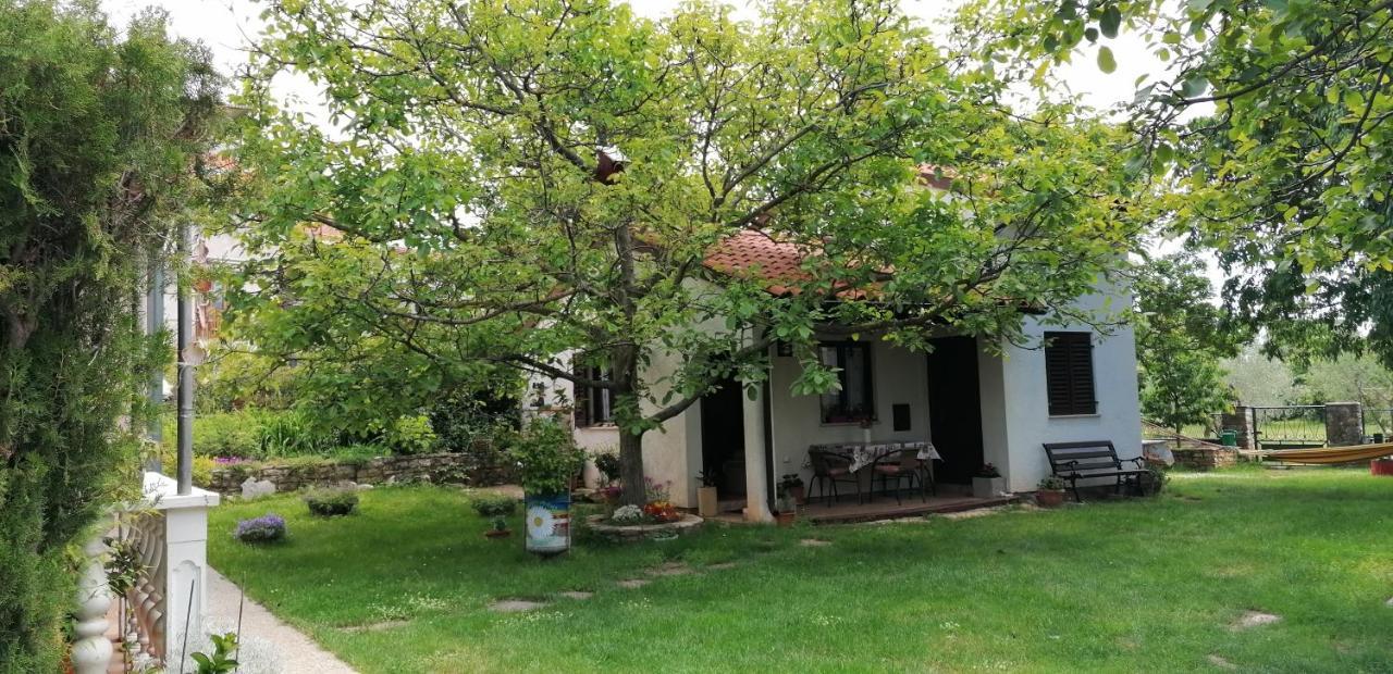Country Apartment *